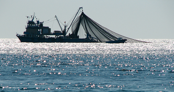 Trawl fishing - Photo by AWI