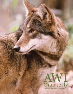 Summer 2014 AWI Quarterly Cover - Photo by Mark Newman/FLPA, Minden Pictures