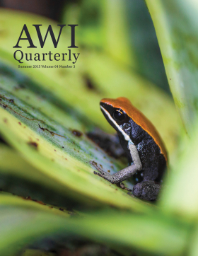 Summer 2015 AWI Quarterly Cover - Photo by Zach Baranowski