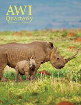 Spring 2014 AWI Quarterly Cover - Photo by Richard Du Toit, Minden Pictures